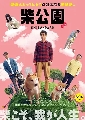 老司机观看精品一区二区