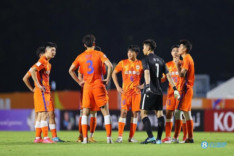 国产综合成人久久大片91