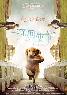 噜噜视频入口