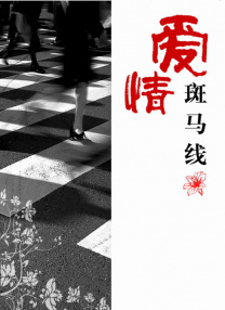 九九视频直播综合网