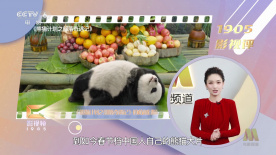 激情丁香开心久久综合